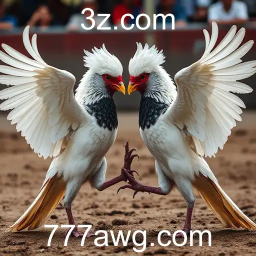 A Controvérsia e Realidade das Rinjas de Galos: Um Olhar Profundo